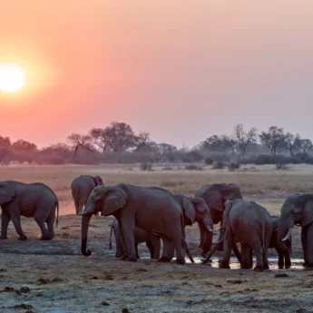 sunset over the linyanti, botswana safari vacations