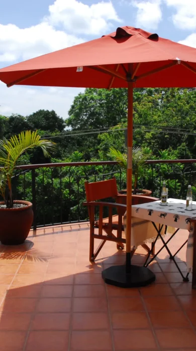 Terrace adjoing to Suite room
