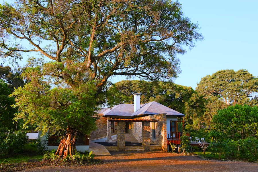 duluti 0236