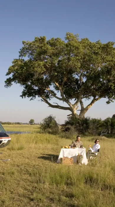 Helicopter Safaris 6