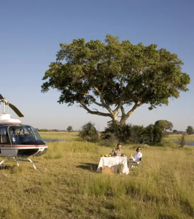 Helicopter Safaris 6