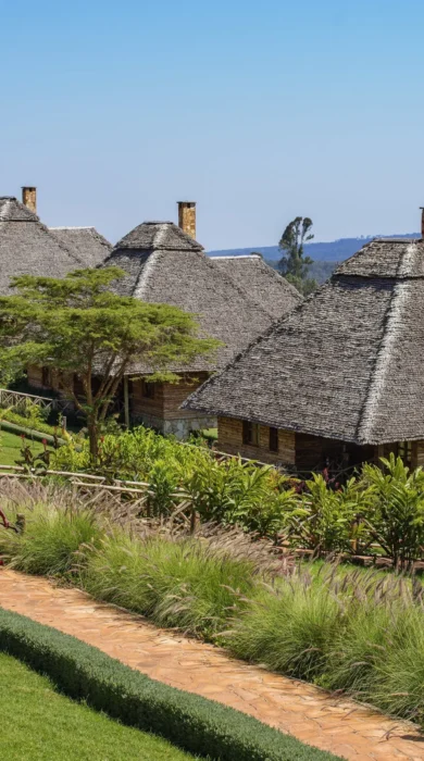 ngorongoro 645