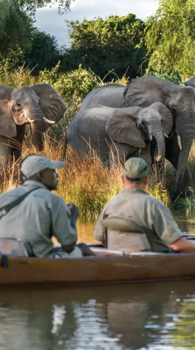 canoeing, the founders of zambias walking safaris, trips