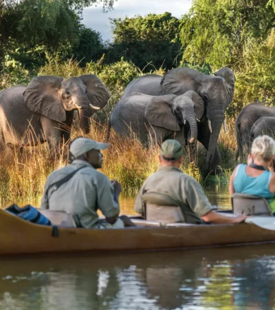 canoeing, the founders of zambias walking safaris, trips