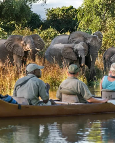 canoeing, the founders of zambias walking safaris, trips