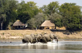 Nsefu 01