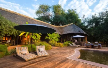 S Luangwa 2014 07 71e
