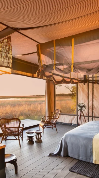 safari room view
