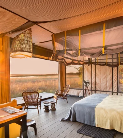 safari room view