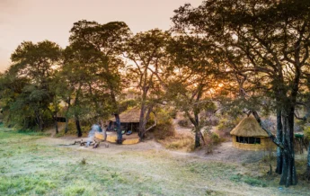 crocodile river camp outlook zambia yellow zebra safaris