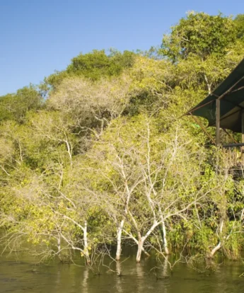 High Res view of chalet from River