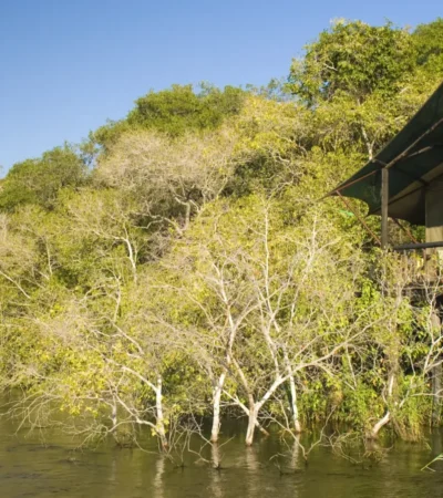 High Res view of chalet from River