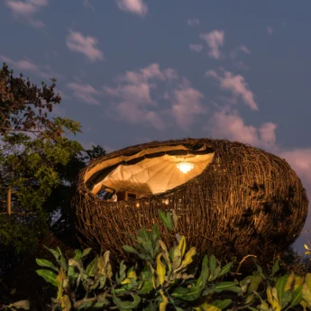 night, chisa busanga camp, kafue national park, zambia