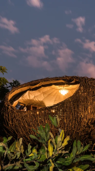night, chisa busanga camp, kafue national park, zambia