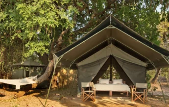 Surefoot Safaris Guest Tent