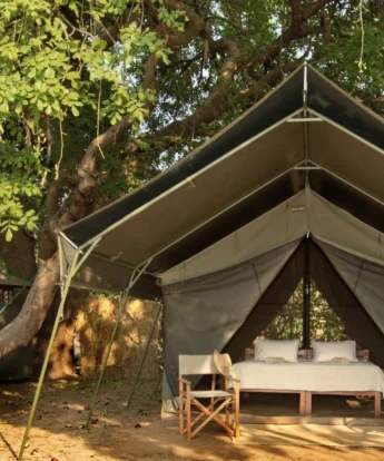 Surefoot Safaris Guest Tent