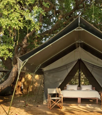 Surefoot Safaris Guest Tent