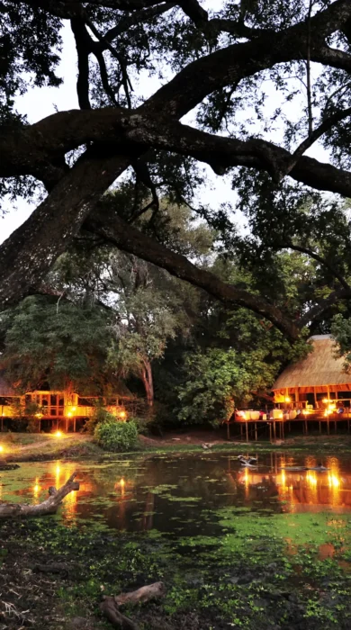 River View, Bilimungwe, South Luangwa NP, Zambia