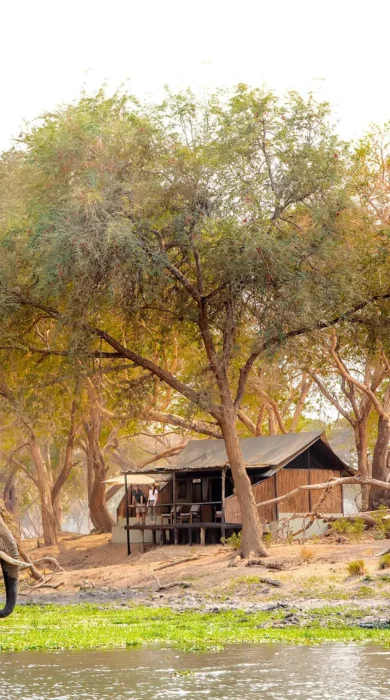 Elephants at Old Mondoro, Lower Zambezi, Zambia