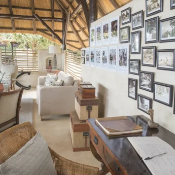sitting area chiawa camp zambia yellow zebra safaris