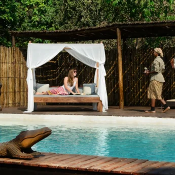 swimming pool chiawa camp zambia yellow zebra safaris