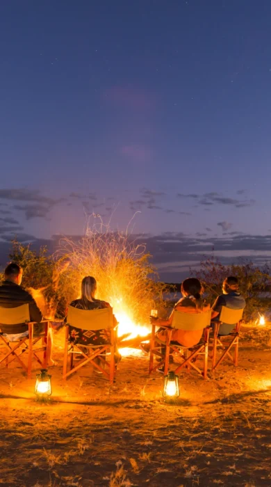 royal zambezi camp fire zambia yellow zebra safaris