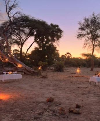 Sausage Tree Bush Dining