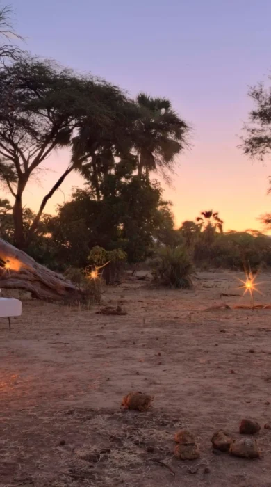 Sausage Tree Bush Dining