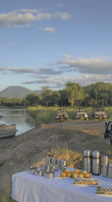 Sausage Tree Game Drive
