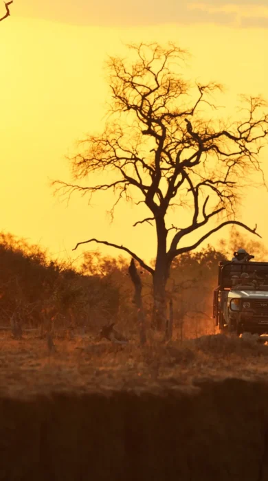 RAS TAFIKA SUNDOWNER SAFARI