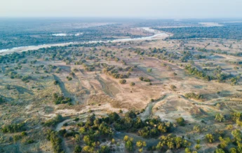 Chikoko Tree Camp wilderness zambia yellow zebra safaris