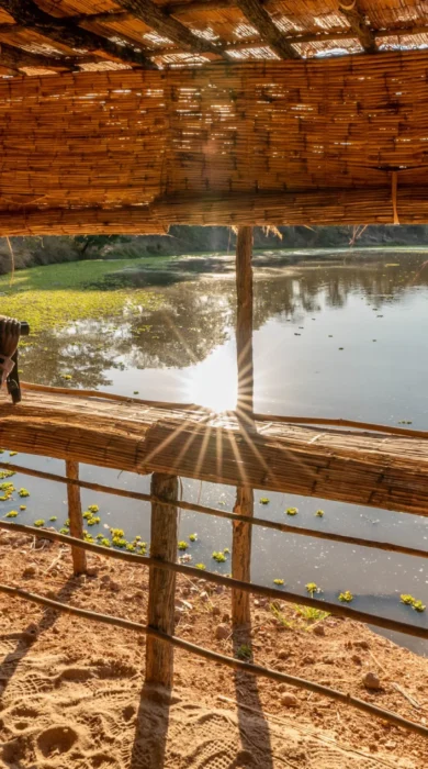 Luwi Camp Safari Hide