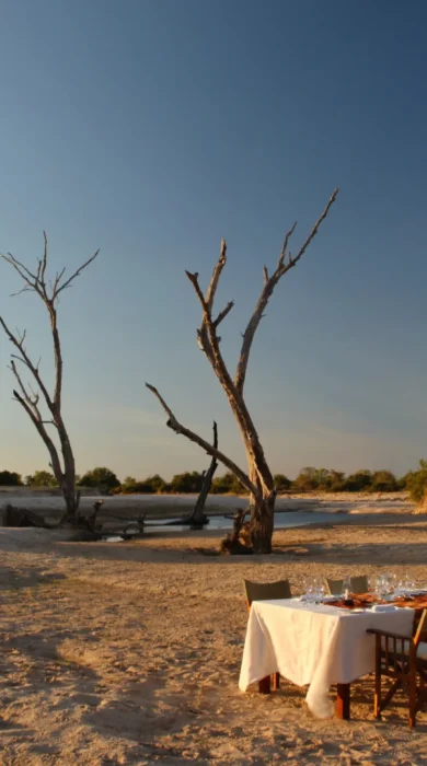 Zambia Safari Dining at Nsolo Bush Camp