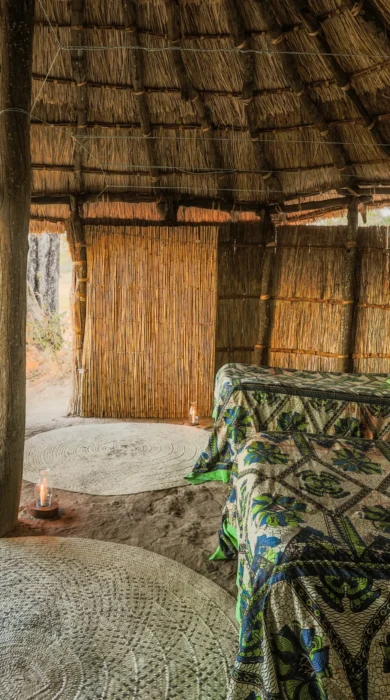 crocodile river camp twin zambia yellow zebra safaris