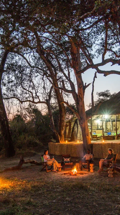 crocodile river camp fire zambia yellow zebra safaris