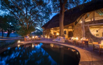 S Luangwa 2014 07 43e
