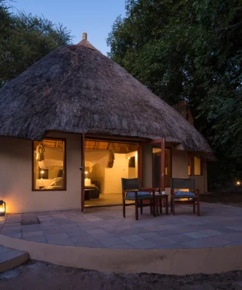 S Luangwa 2014 07 87e
