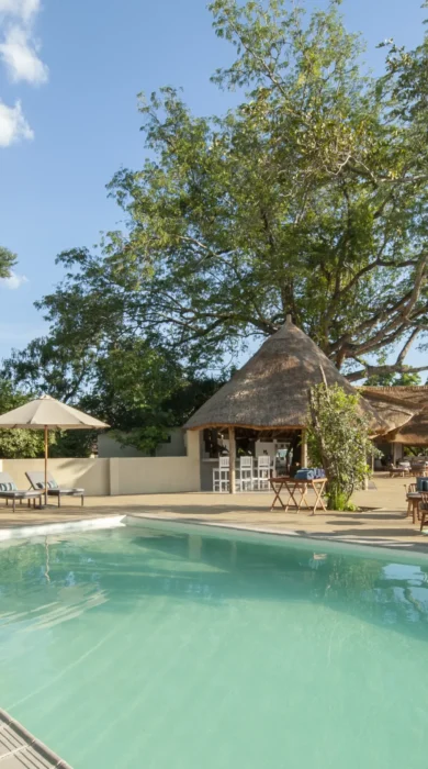 kafunta river lodge pool view yellow zebra safaris