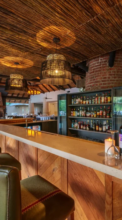 Bar, Mfuwe Lodge, South Luangwe NP, Zambia