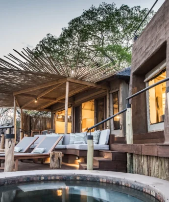 puku ridge zambia pool yellow zebra safaris