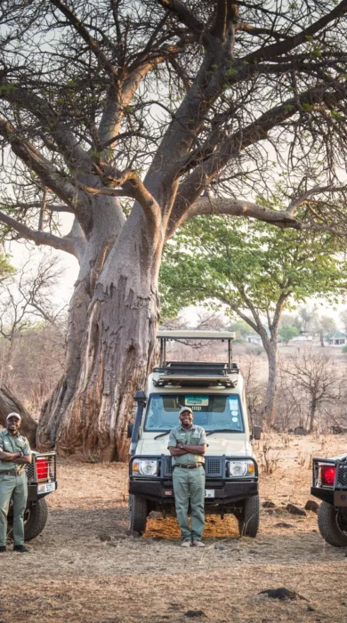 puku ridge zambia jeeps yellow zebra safaris