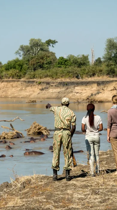S Luangwa 2014 07 100e