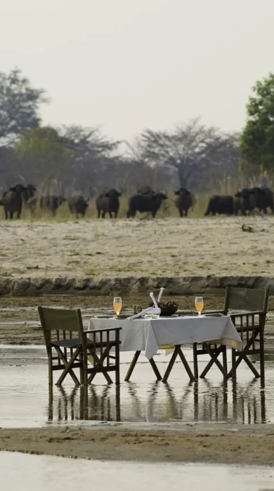 River Dining, Zungulila, South Luangwa NP, Zambia