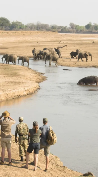 Walking Safaris, Mwamba Bush Camp, South Luangwa, Zambia