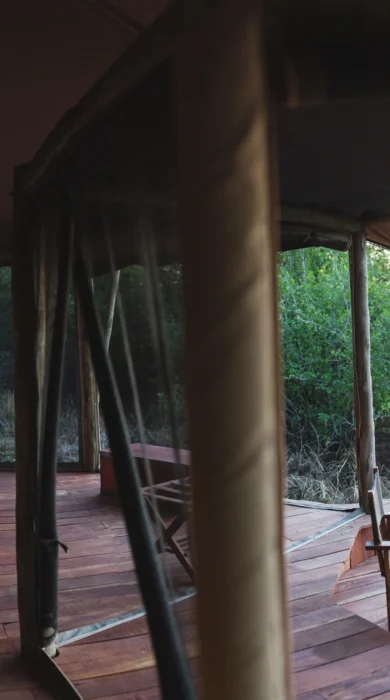 view guest room musekese zambia yellow zebra safaris