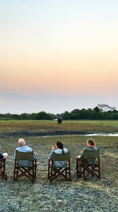sundowners, musekse camp, kafue national park, zambia