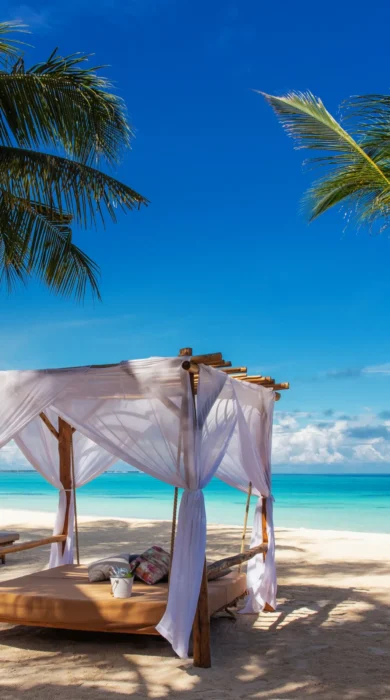 private beach zuri zanzibar tanzania yellow zebra safaris