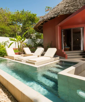 gold zanzibar pool details tanzania yellow zebra safaris