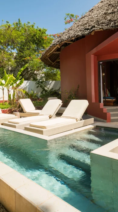 gold zanzibar pool details tanzania yellow zebra safaris