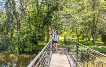 VVIC BirdWatching Bridge Lifestyle G A H